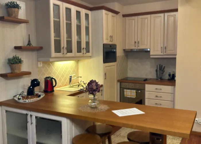 Danube Terrace Elegant With 2 Bedroom With Free Air Conditioner And Private Parking